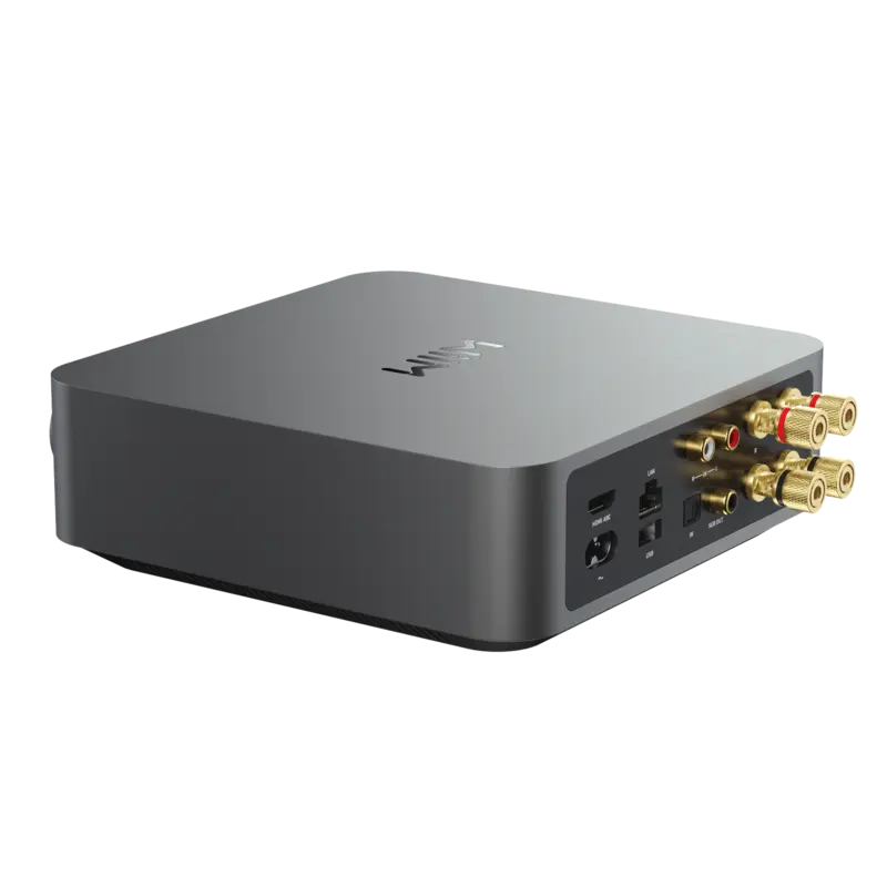 WiiM Amp | Smart Streaming Amplifier for Passive Speakers