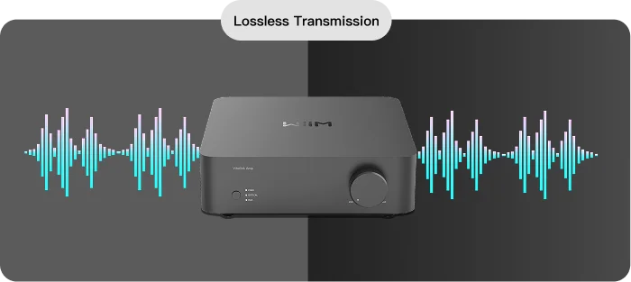 WiiM Vibelink Amp | Unleash the Power of Pure Sound