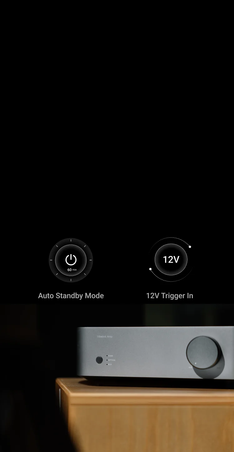 新品未開封　WiiM Vibelink Amp WiiM Vibelink Amp — The Audio Co.